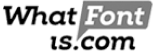 Logo 4